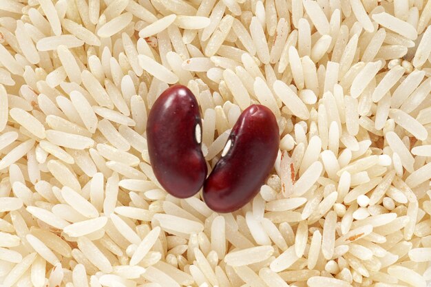 comida orgânica de arroz de grão branco
