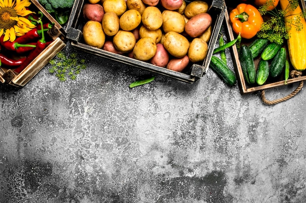 Comida orgânica. Legumes frescos em caixas.