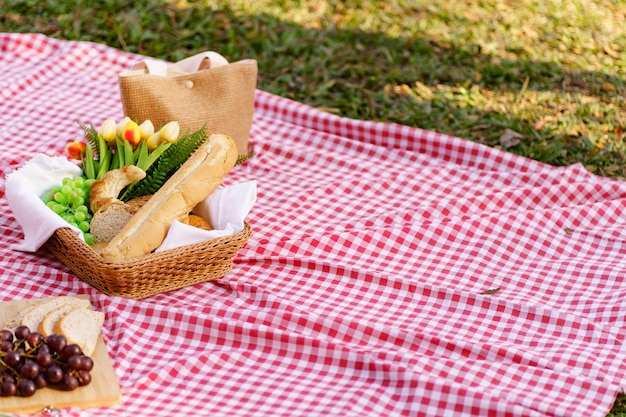 Comida de picnic Almuerzo Parque al aire libre con cesta de picnic de comida disfrutando del tiempo de picnic en el parque naturaleza al aire libre