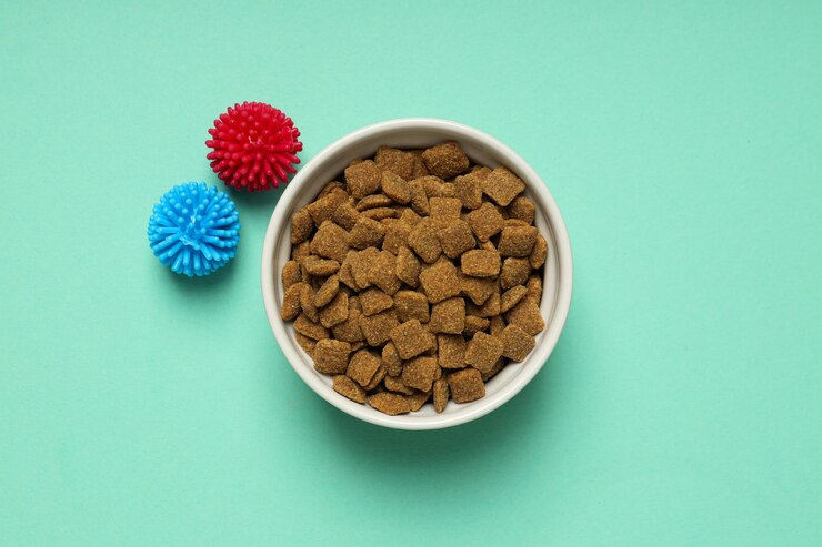 Comida sabrosa y deliciosa para accesorios para mascotas.