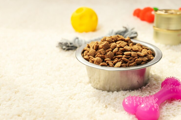 Comida sabrosa y deliciosa para accesorios para mascotas.
