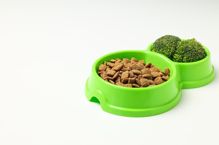 Comida sabrosa y deliciosa para accesorios para mascotas.