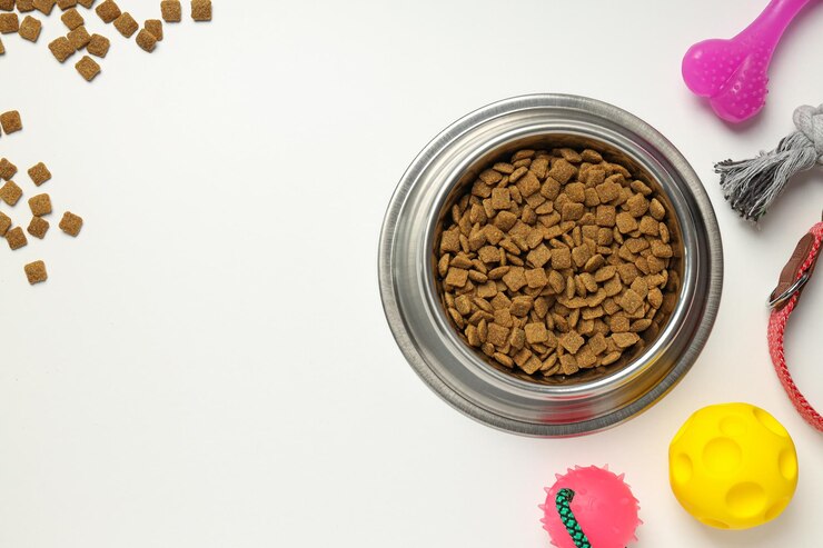 Comida sabrosa y deliciosa para accesorios para mascotas.