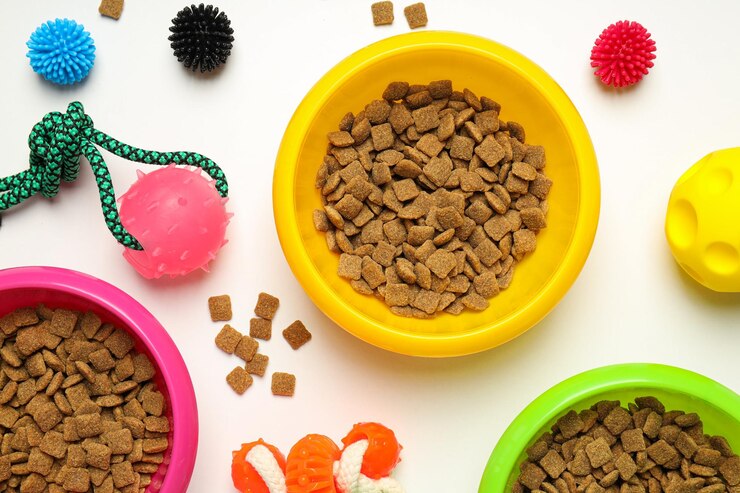 Comida sabrosa y deliciosa para accesorios para mascotas.