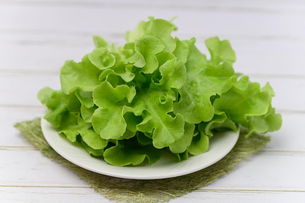 Comida saudável de salada de carvalho verde