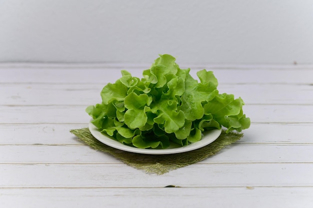 Comida saudável de salada de carvalho verde