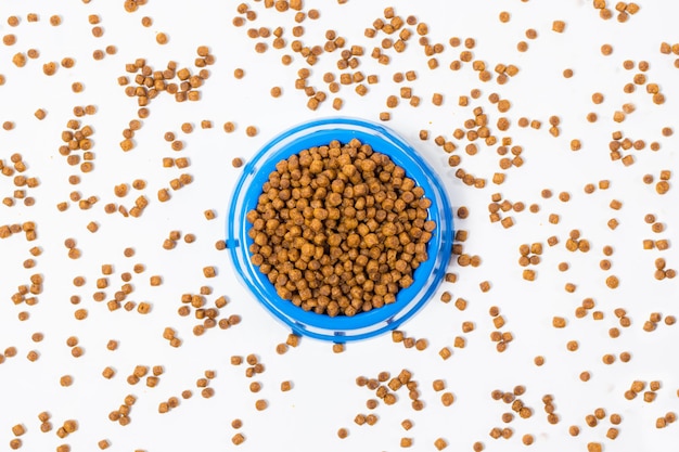 Comida seca para gatitos y gatos en un plato azul sobre blanco