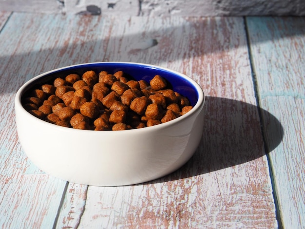 Comida seca para gatos o perros en un bol