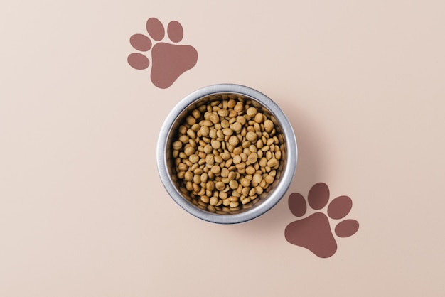 Comida seca para perros en un cuenco sobre un fondo neutro Concepto superior del Día Nacional del Perrito