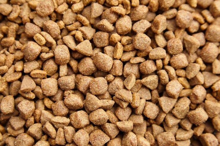 Comida seca para perros y gatos Comida para mascotas como fondo