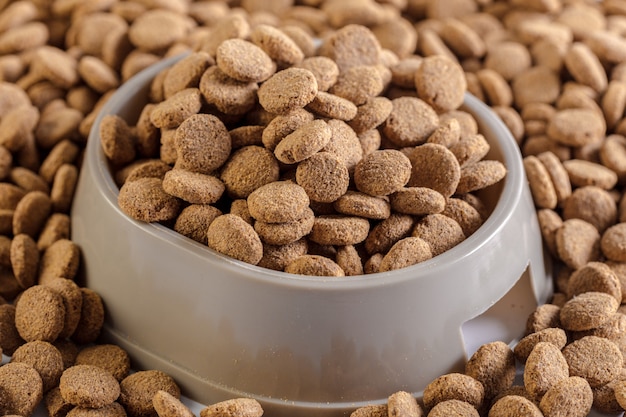 Comida seca para perros