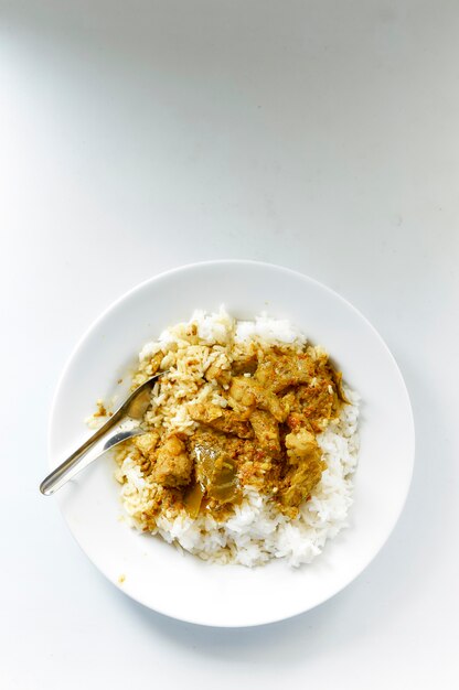 Comida tailandesa Arroz y curry con cerdo asado