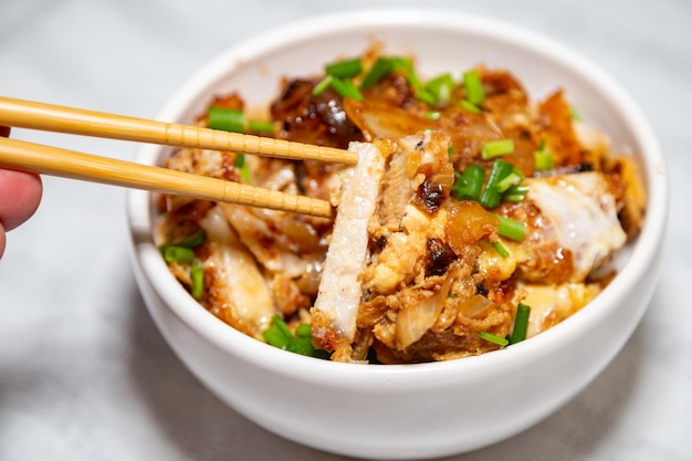 Comida típica japonesa tradicional y famosa, Katsudon o katzu-don