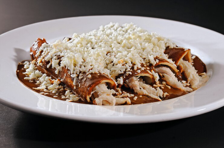 Comida típica mexicana Enmoladas de pollo