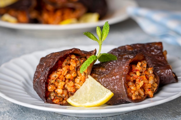 Comidas turcas deliciosas tradicionais berinjela seca recheada com nome turco Kuru patlican dolmasi