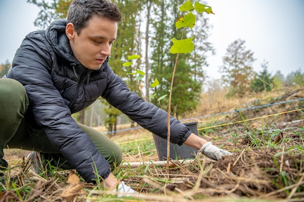 Como voluntario, el joven planta árboles jóvenes para restaurar el bosque.