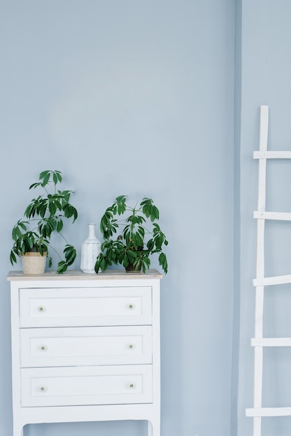Una cómoda blanca y plantas en macetas, una escalera blanca contra una pared azul claro. Sala de estar interior