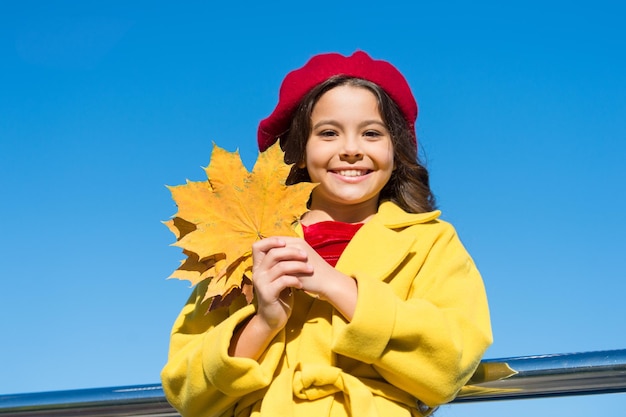 La comodidad del otoño está a la vuelta Niña emocionada por la temporada de otoño Temporada cálida de otoño momentos agradables Niño niña cara sonriente sostener hojas cielo fondo Niño con hojas de arce otoñales caminar