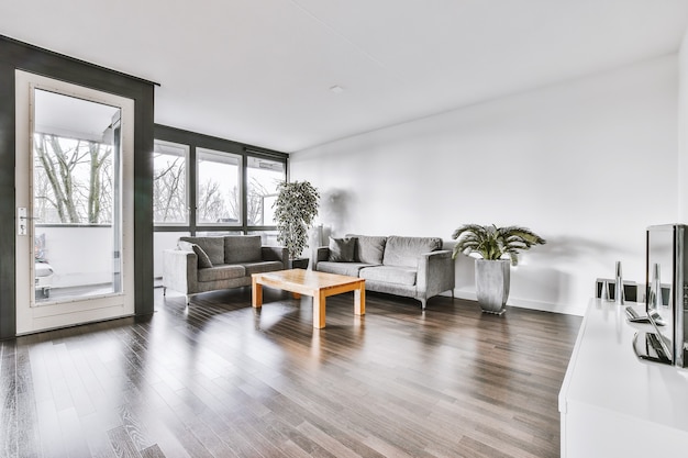 Cómodos sofás y mesa de madera colocados cerca de plantas en macetas contra la ventana en la sala de estar del apartamento moderno