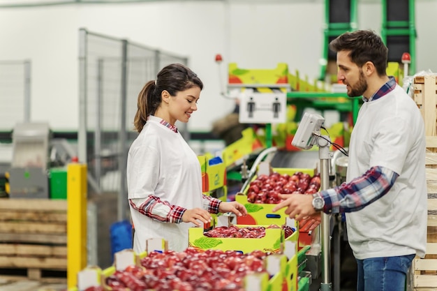 Compañeros enfocados que trabajan en la línea de clasificación de frutas que transportan cajas con manzanas almacenadas