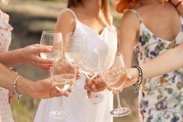 La compañía de amigas disfruta de un picnic de verano y levanta copas con vino.