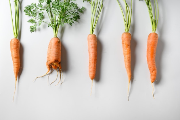 Comparação de cenouras recém-cultivadas com formato regular e feio incomum