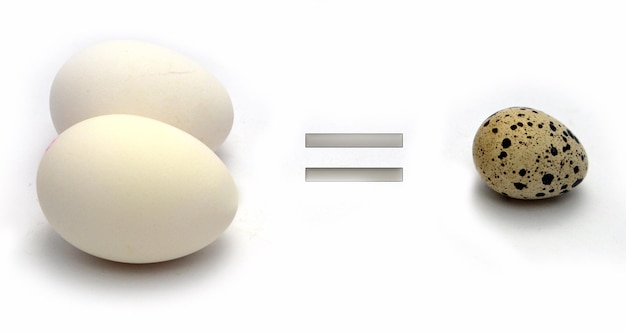 Foto comparando ovos de galinha com ovos de codorna