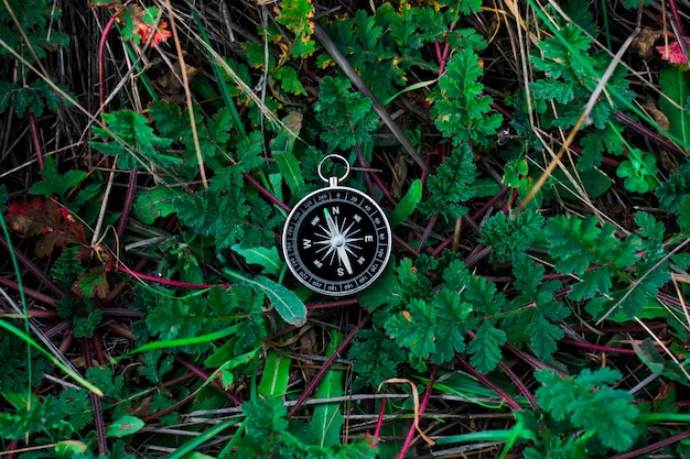 Un compás magnético en un bosque de otoño contra. hierba floreciente