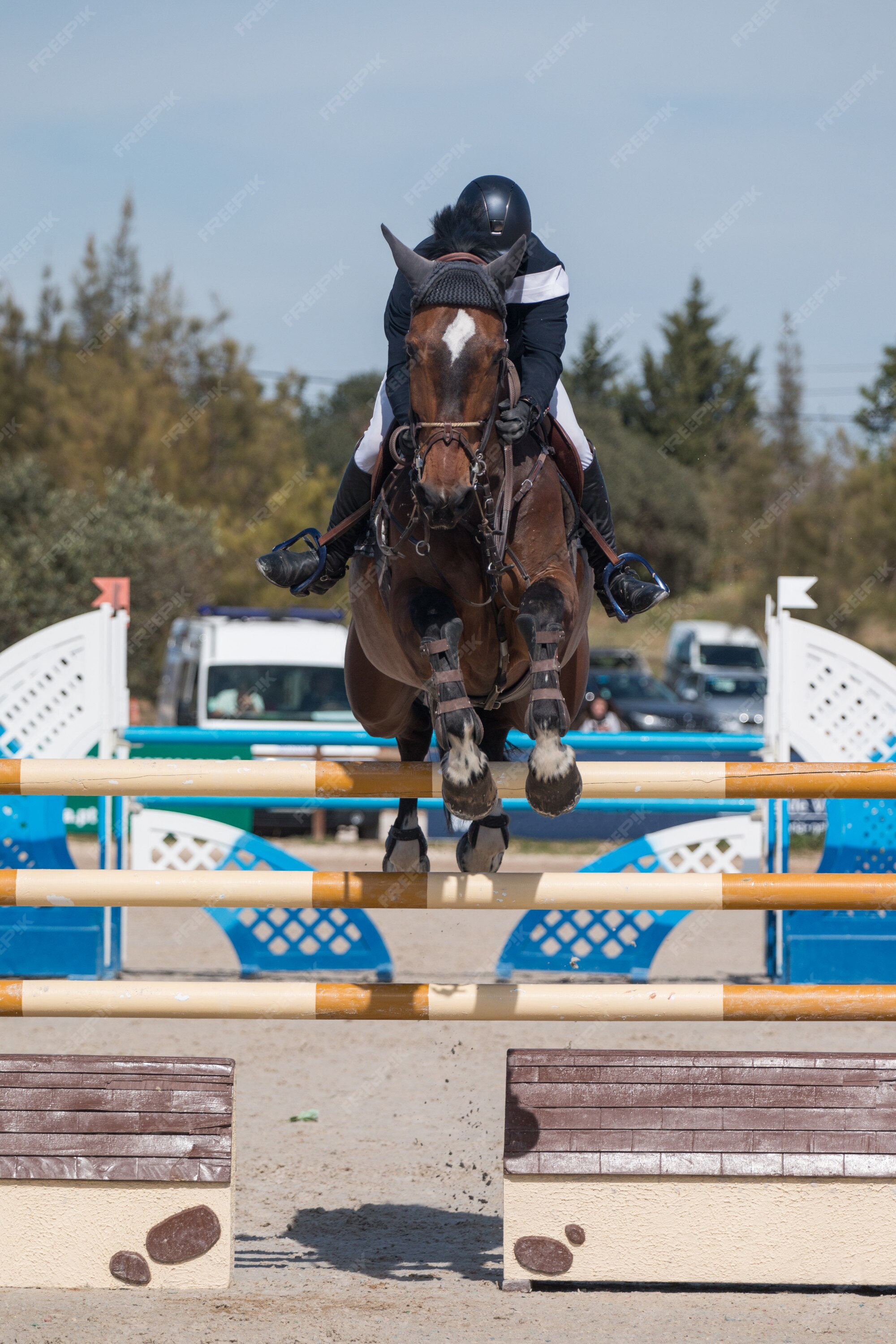 Foto de Equitação Cavalo Pulando Sobre Obstáculo e mais fotos de stock de  Concurso de Saltos Equestres - Concurso de Saltos Equestres, 2015, Animal -  iStock