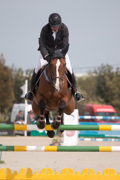 Competição de salto de cavalo