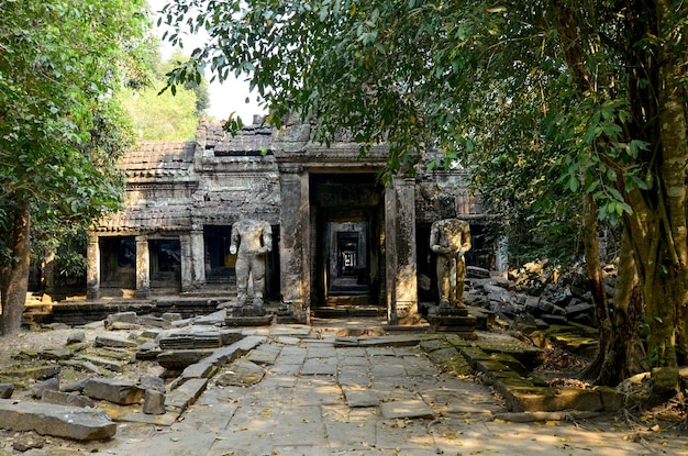 Complejo de templos de Camboya ANGKOR wat Preah Khan templo Kampong svay columnas de entrada estatuas sin cabeza