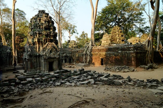 Complexo de templos de Angkor Wat ruínas Templo TA Prohm Templo real de Rajavihara filme Lara Croft Camboja