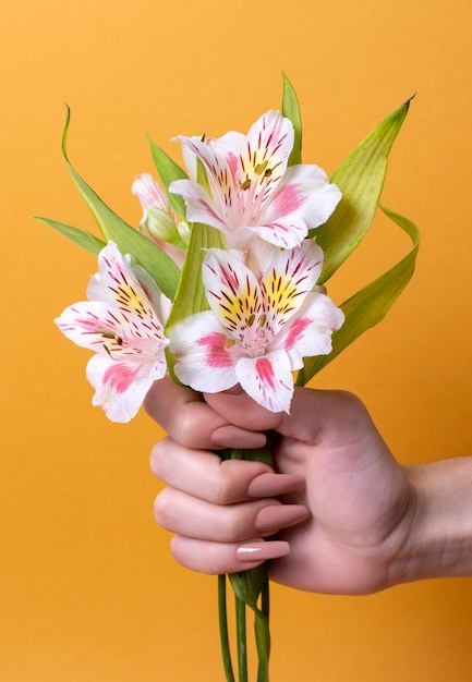 Foto composição abstrata de saúde sexual com flor