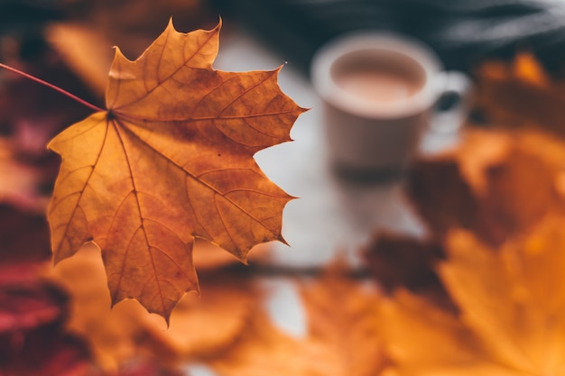 Composição acolhedora em casa outono uma xícara de café com maple leaves.selective foco suave