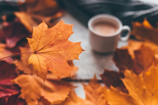 Composição aconchegante para casa de outono, uma xícara de café com folhas de plátano. Foco suave seletivo