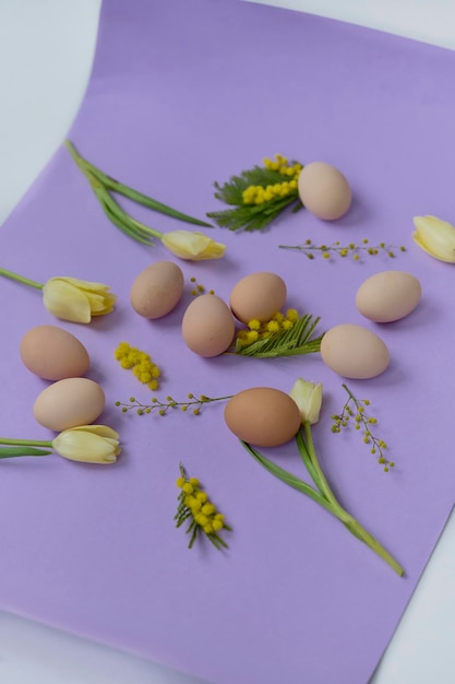 Composição brilhante de ovos de galinha e tulipas amarelas em um fundo roxo
