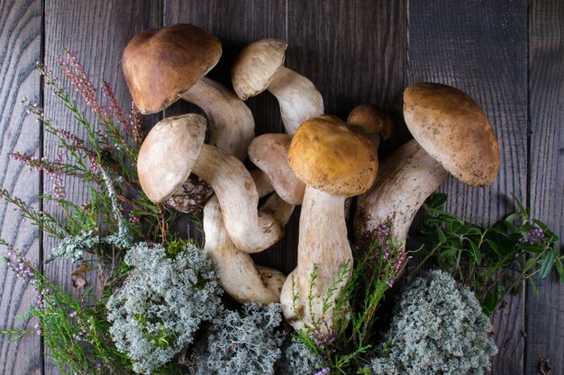 Composição com cogumelos porcini selvagens colhidos na superfície de madeira