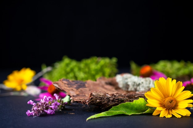 Composição com flores orgânicas e casca de árvore real