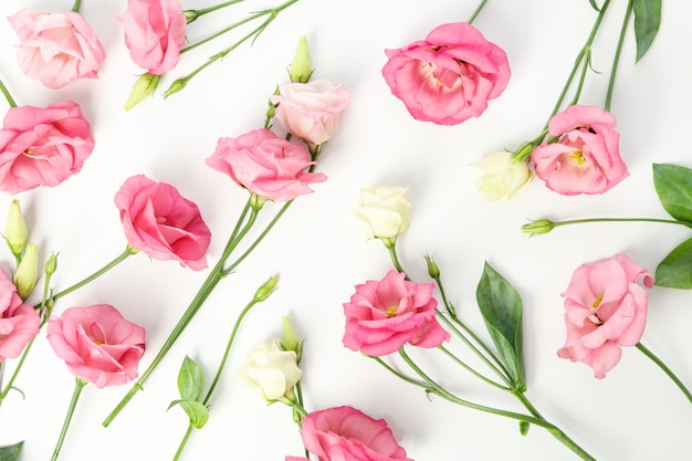 Composição com lindas flores eustoma em branco