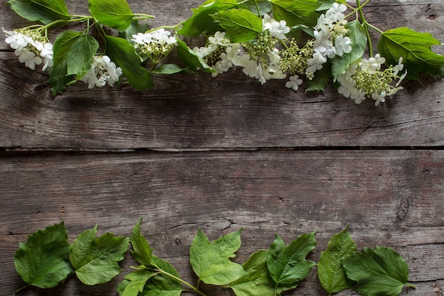 Composição com moldura de flores brancas