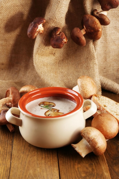 Composição com sopa de cogumelos em pote de cogumelos frescos e secos na mesa de madeira em fundo de saco