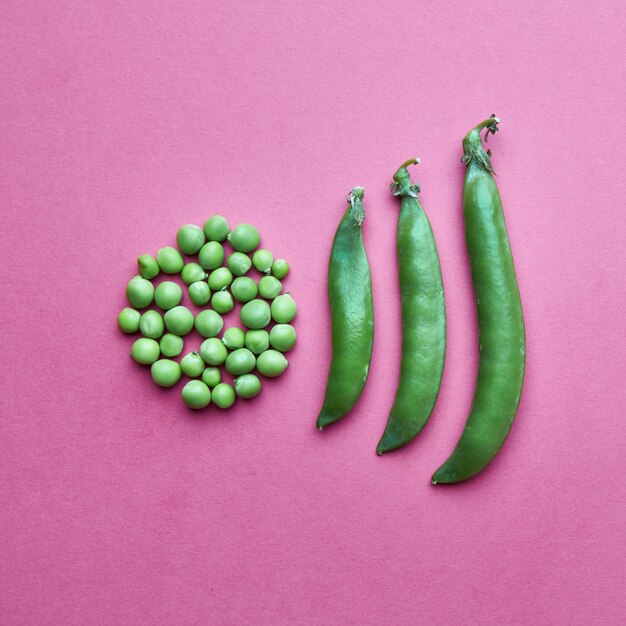 Foto composição criativa a partir de grãos de ervilhas verdes em forma de círculo e cheia de vagens fechadas