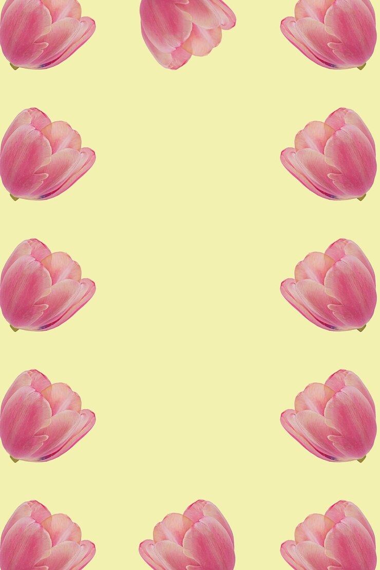 Foto composição criativa de botão de flor de tulipa rosa com pétalas em um fundo amarelo com espaço de cópia para texto primavera ou verão florescendo quadro idéia de padrão de levitação
