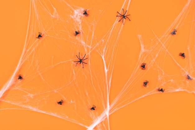Composição criativa de halloween de vista superior