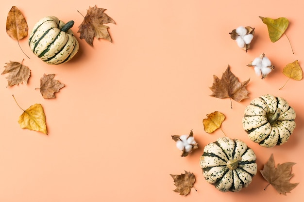 Composição criativa do dia de ação de Graças de outono outono com abóboras decorativas e folhas secas. Camada plana, vista superior, cópia espaço, fundo rosa coral de natureza morta para cartão comemorativo