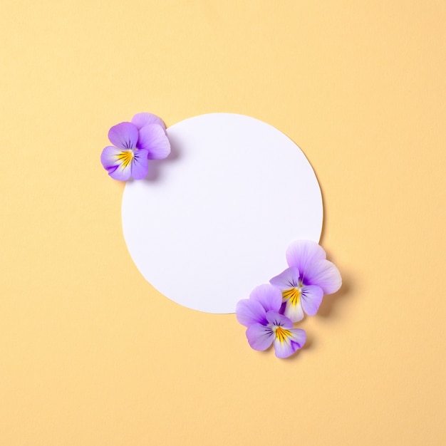 Foto composição criativa leiga plana: círculo de papel em branco com violetas flores silvestres em fundo amarelo.