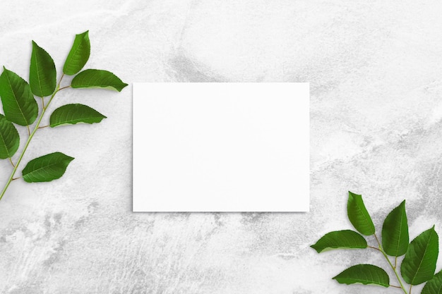 Composição da folha de papel aquarela branca e galhos de árvores com folhas verdes nas bordas em uma mesa de concreto. Placa de publicidade, maquete de pôster para seu projeto. Postura plana, vista superior, espaço de cópia