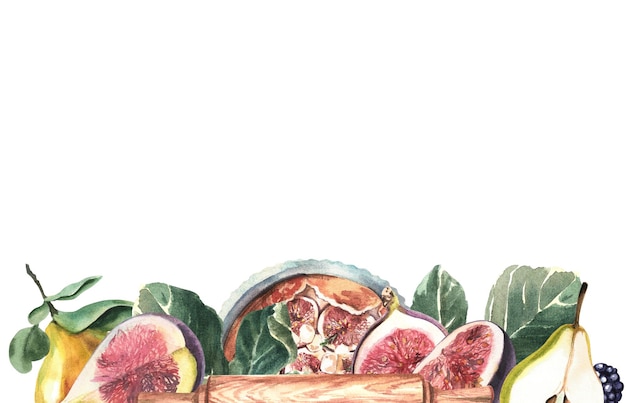 Composição de bagas e figos com um figo pae em um fundo branco Ilustração em aquarela