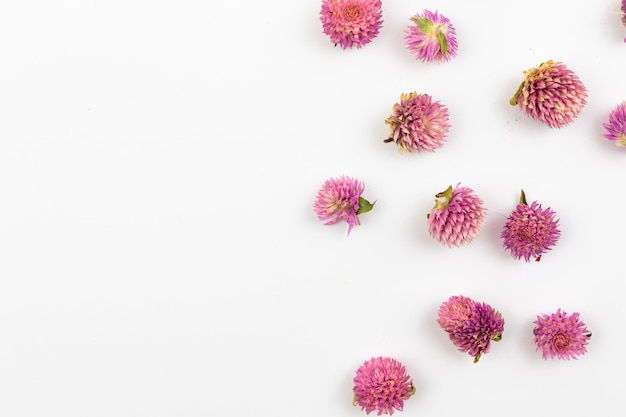 Composição de botões de flores dey em um fundo branco photot