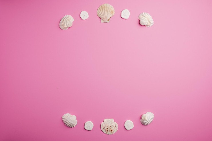 Foto composição de conchas marinhas em fundo rosa foto